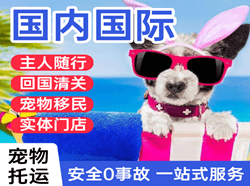 厦门高崎机场快递国际宠物托运 【国